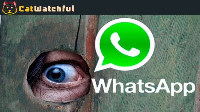 Espiar conversación de whatsapp